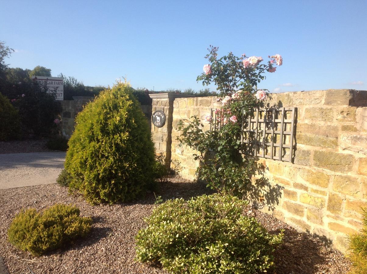 Ravencar Farm B&B Mosborough Extérieur photo